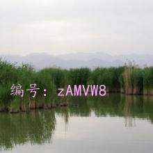 Բ