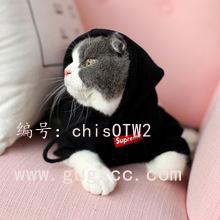 벻