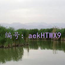 û