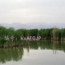 벻