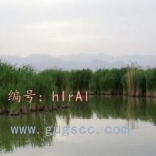 벻