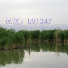 벻