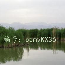 Ŭ