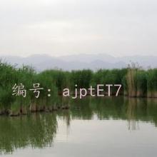 벻