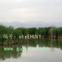 벻