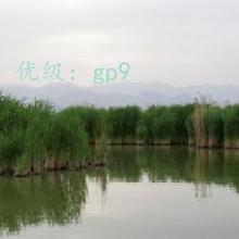 벻