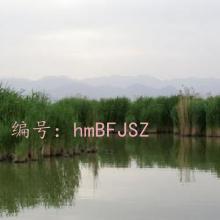 ΢