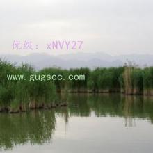 벻